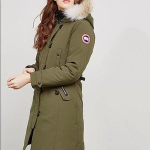 Canada goose Kensington